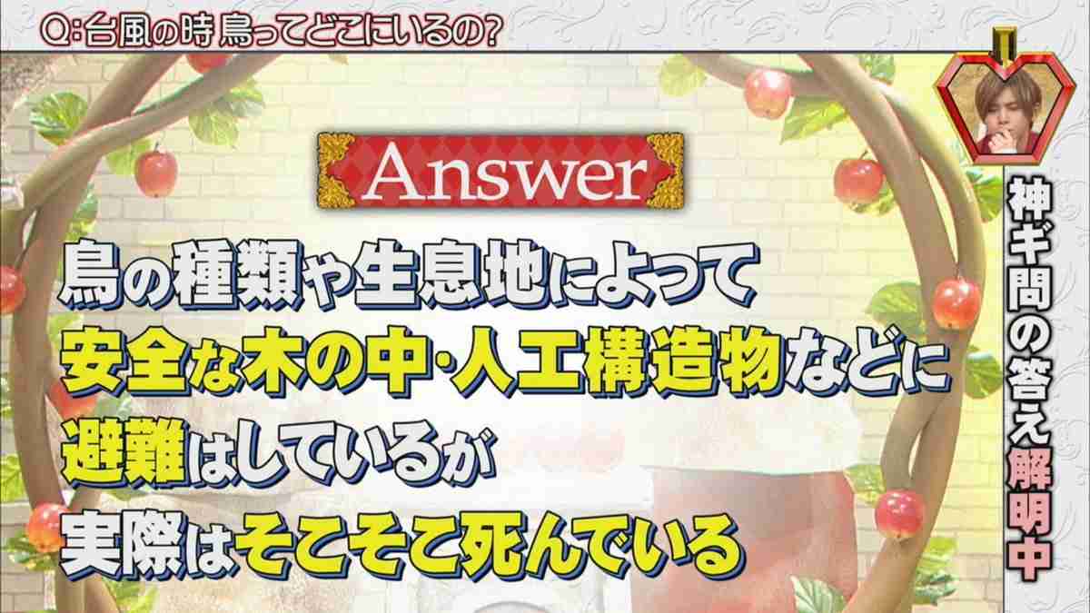 【情報共有】台風20号
