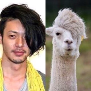 イケメンな動物の画像を集めるトピ