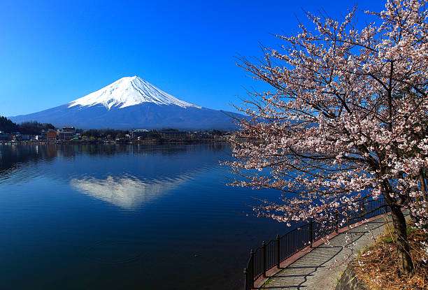 ぶっちゃけ日本に生まれて良かったですか?