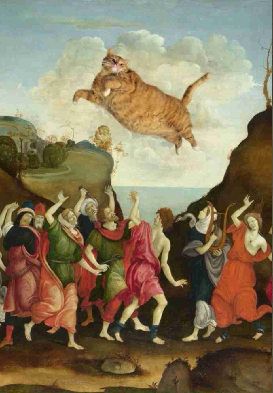 猫の絵を貼るトピ