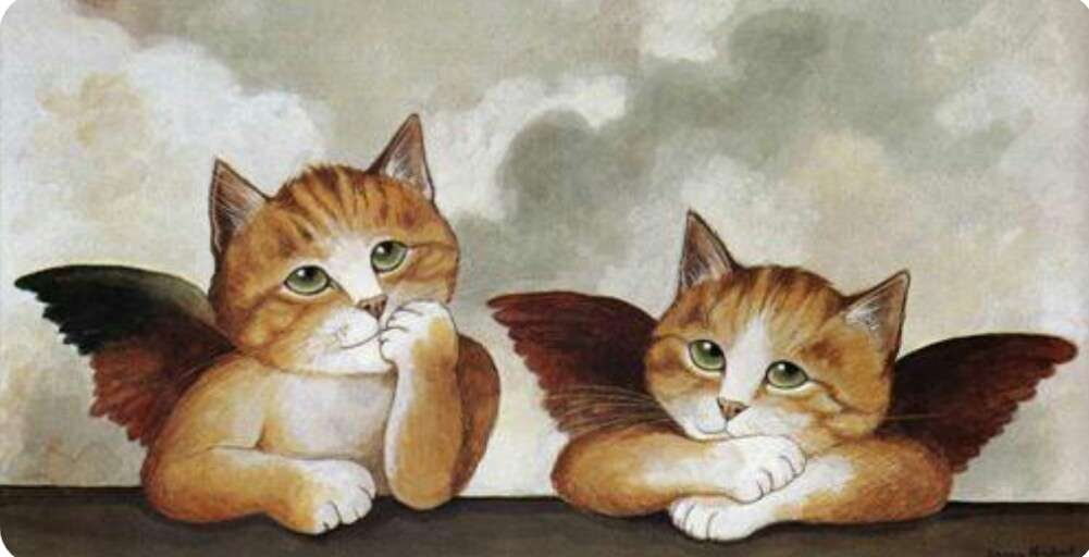 猫の絵を貼るトピ