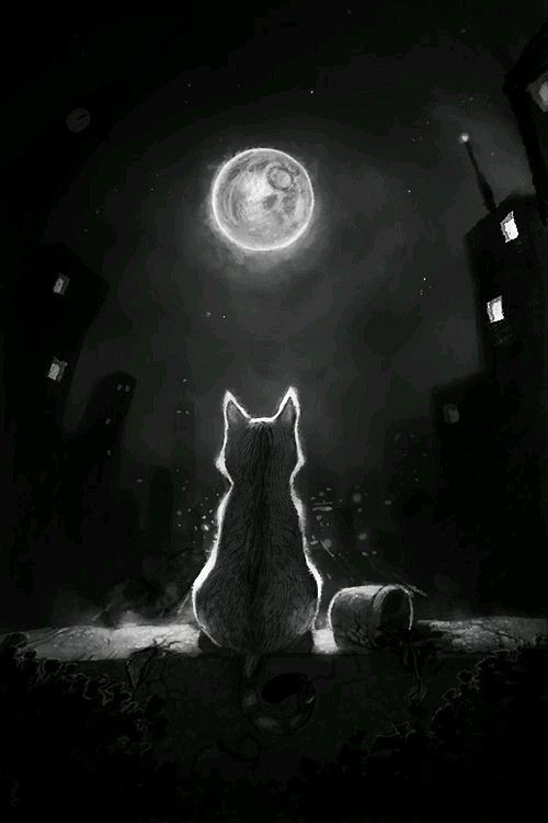 猫の絵を貼るトピ