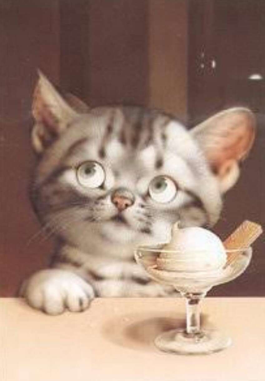 猫の絵を貼るトピ