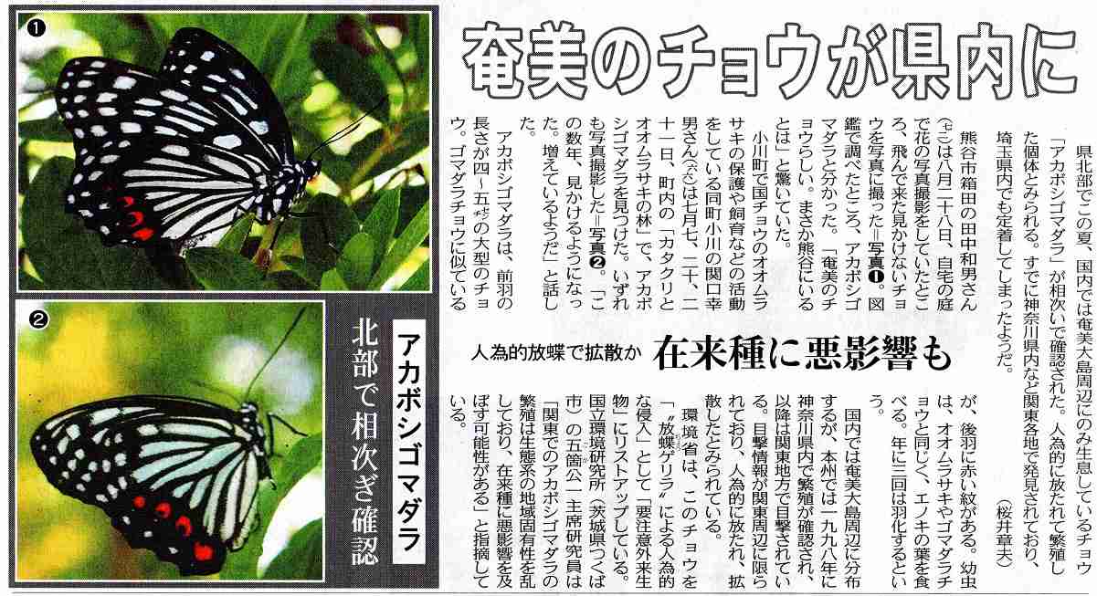 外来種について語ろうよ