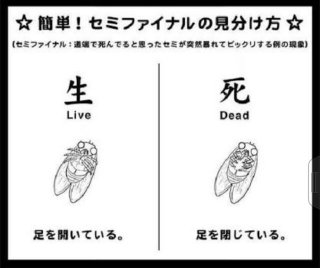 【ガルちゃん】誰かのちょっとした悩みを誰かが解決してくれるトピ【知恵袋】