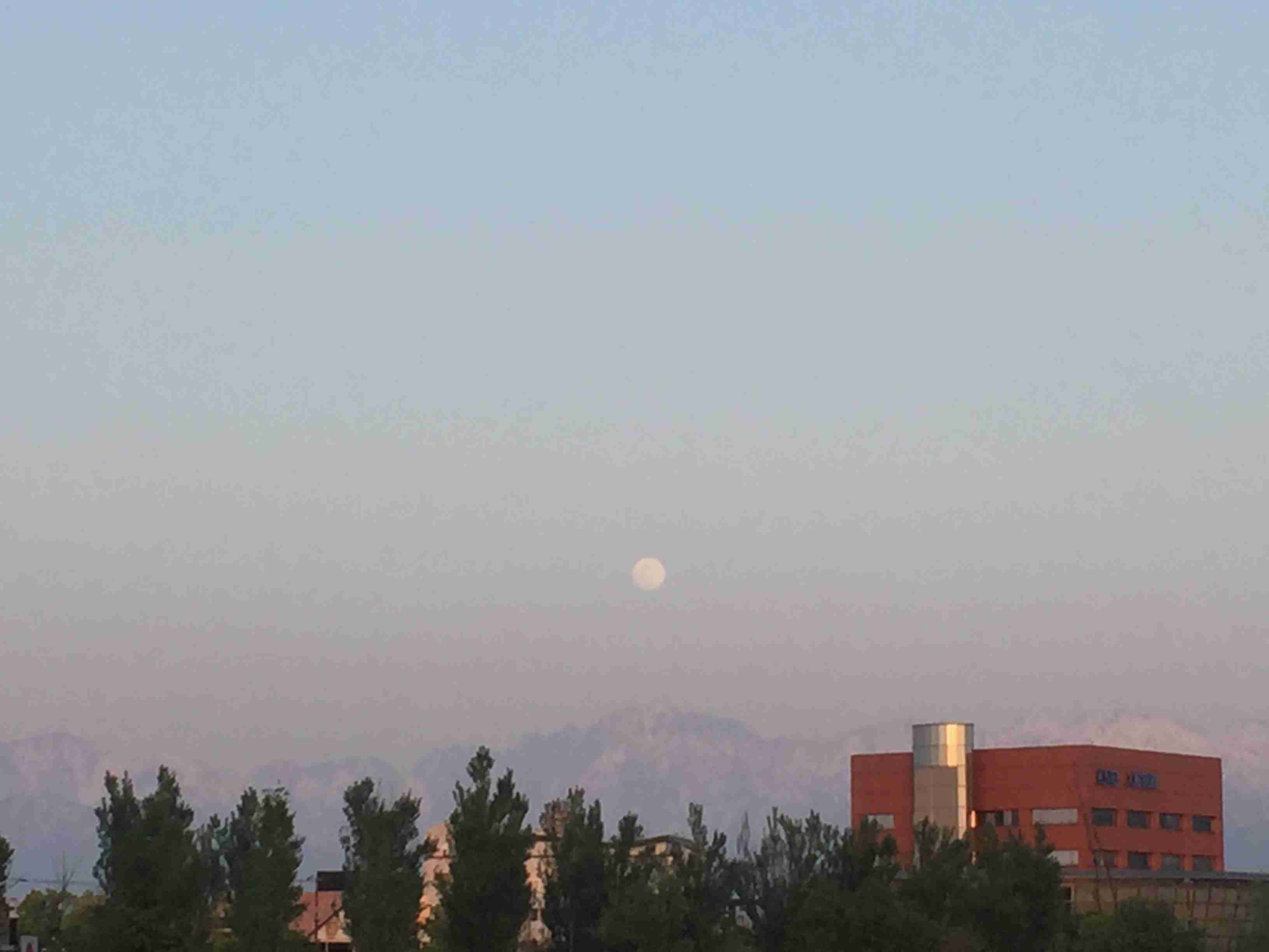 見惚れる画像をください