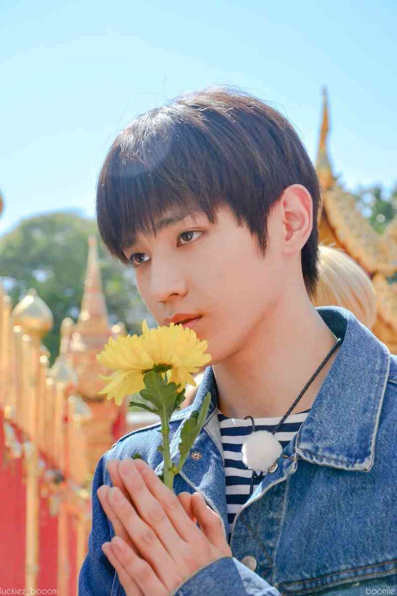 見惚れる画像をください