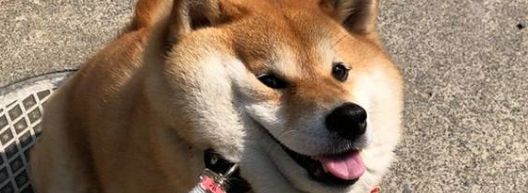 見惚れる画像をください