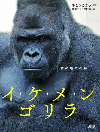 見惚れる画像をください