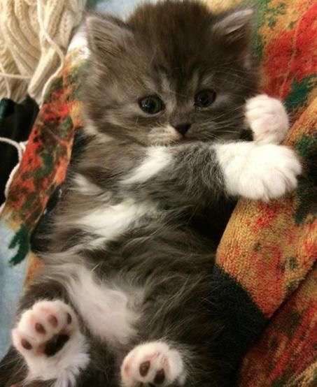 見惚れる画像をください