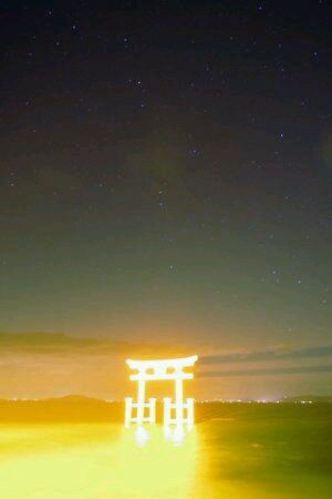 見惚れる画像をください