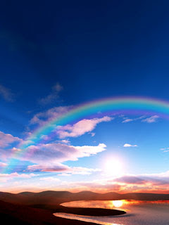 見惚れる画像をください