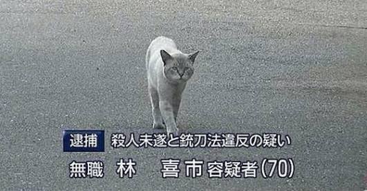 貼られた画像の間違いに気づいたらプラス