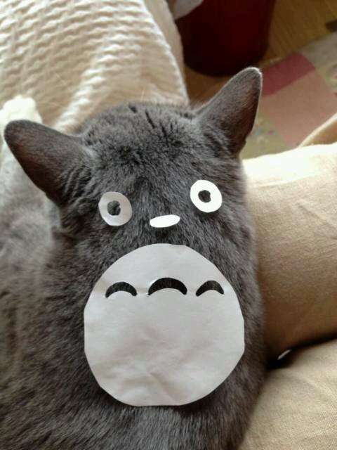 貼られた画像の間違いに気づいたらプラス