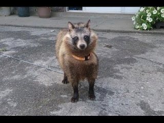 貼られた画像の間違いに気づいたらプラス