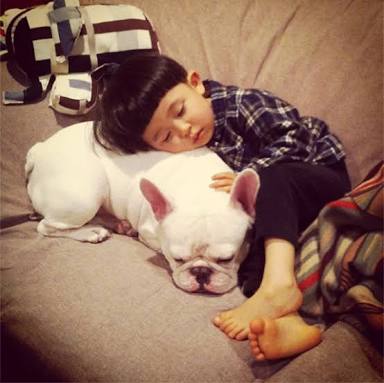 仲良さそうな画像を貼るトピ