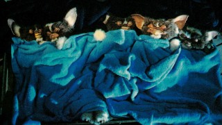 仲良さそうな画像を貼るトピ