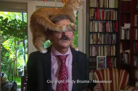 仲良さそうな画像を貼るトピ