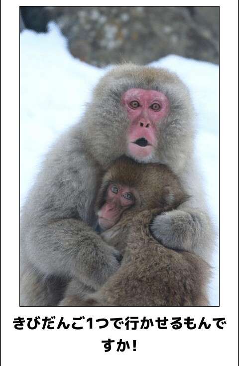 仲良さそうな画像を貼るトピ