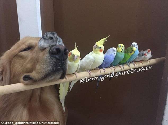 仲良さそうな画像を貼るトピ