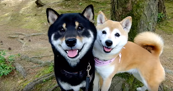 仲良さそうな画像を貼るトピ