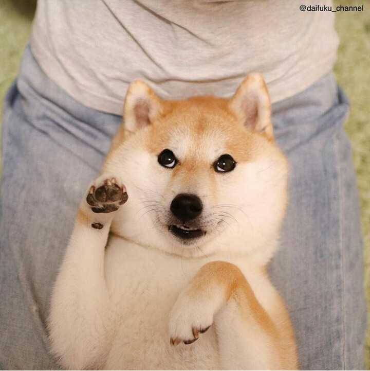 ダブルデートについて教えてください！