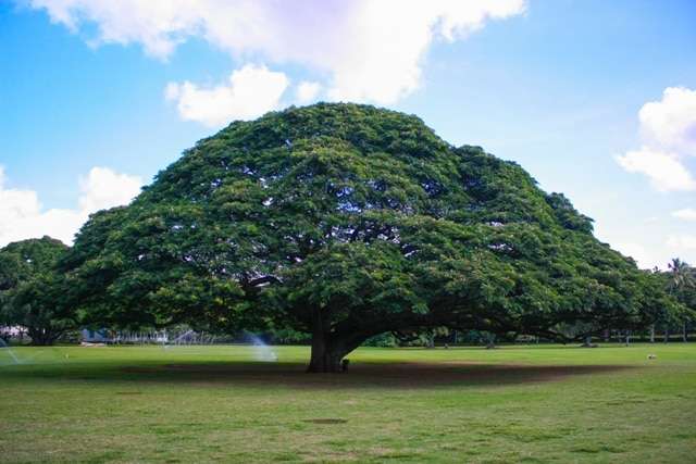 昔流行ったけど今聴いても古臭さを感じない曲