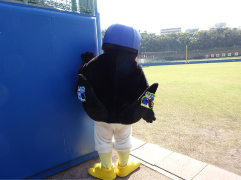 中日ドラゴンズ好きな人