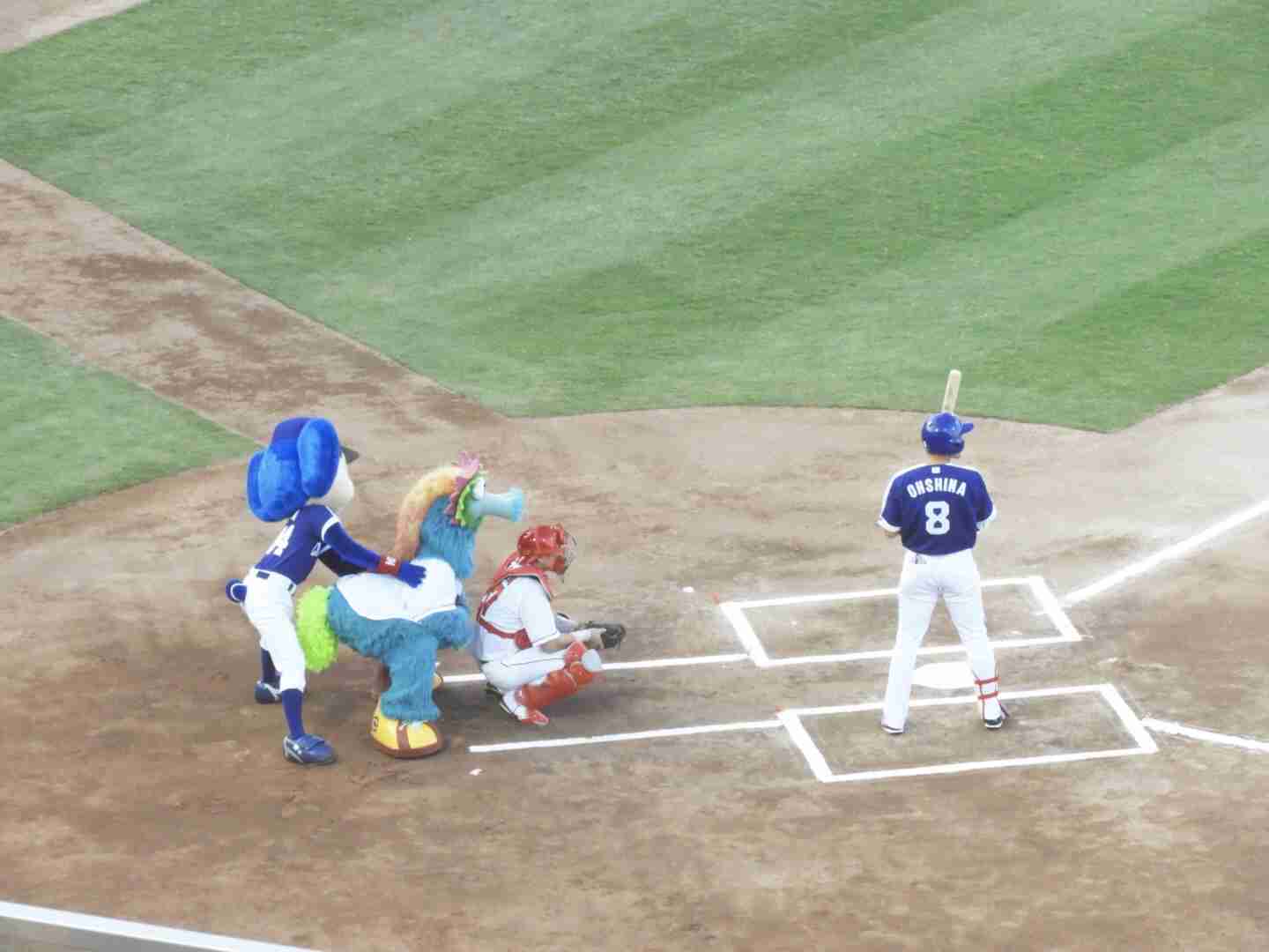 中日ドラゴンズ好きな人
