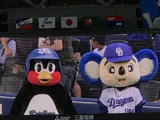 中日ドラゴンズ好きな人