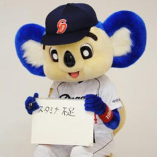 中日ドラゴンズ好きな人