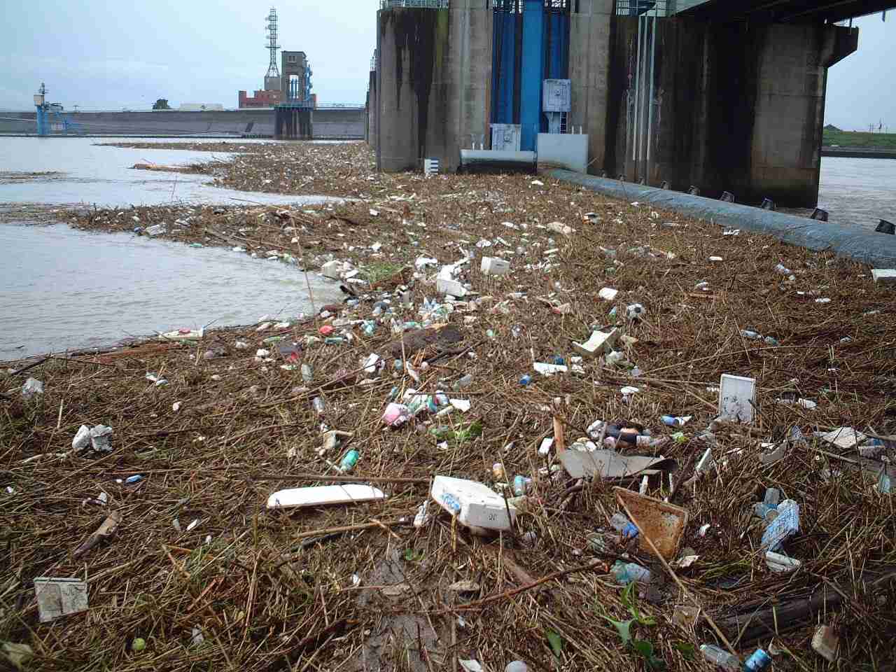 すかいらーく、プラスチック製ストロー廃止へ　国内外食大手では初