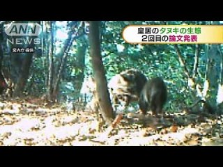 眞子さまの恋人・小室圭さん、