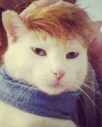 お洒落過ぎる彼氏