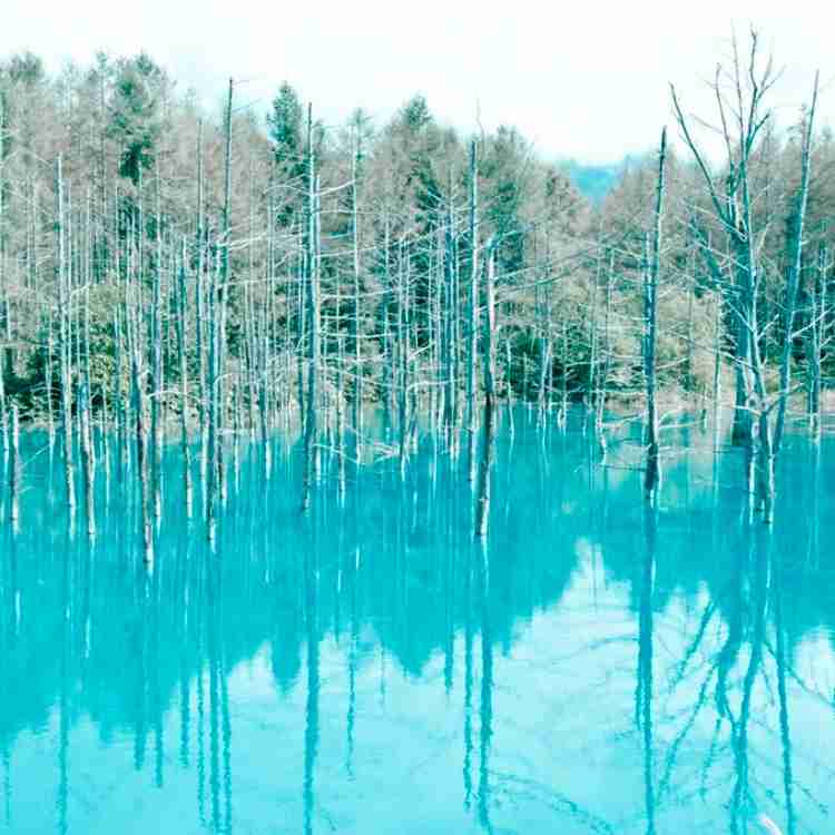 お気に入りのブルーを見せて！