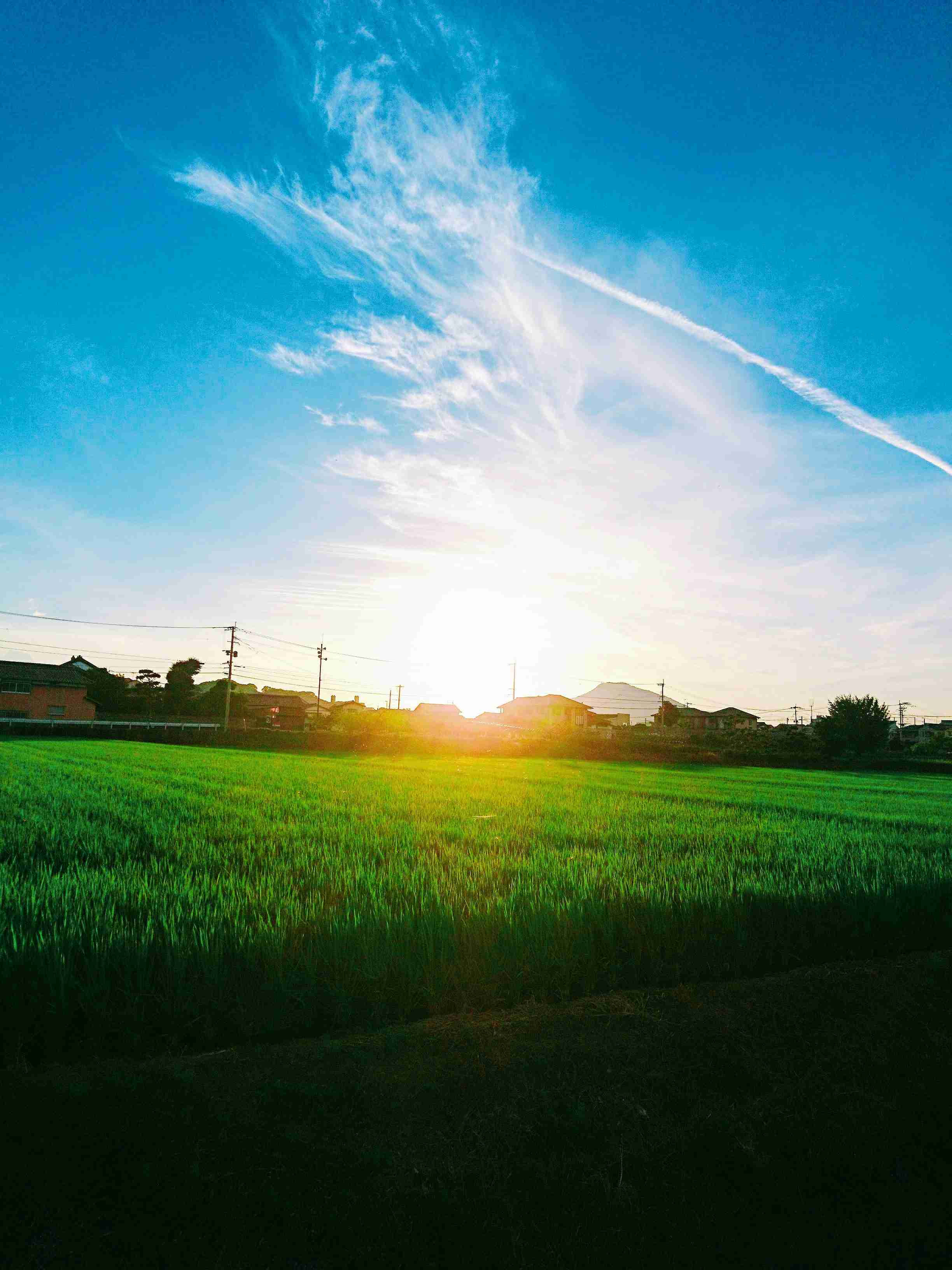 お気に入りのブルーを見せて！