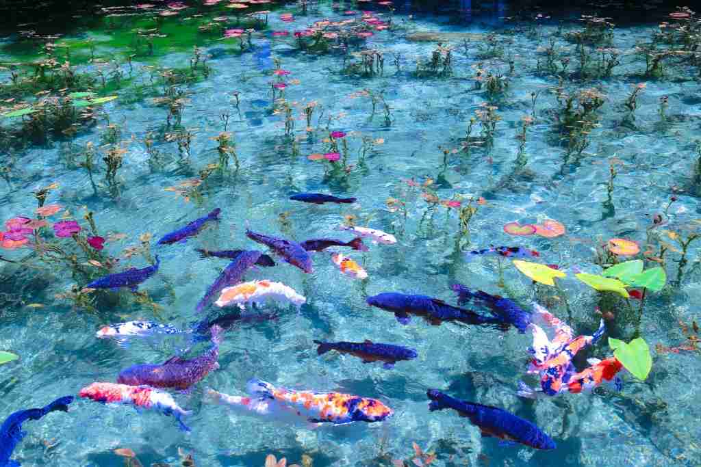 お気に入りのブルーを見せて！