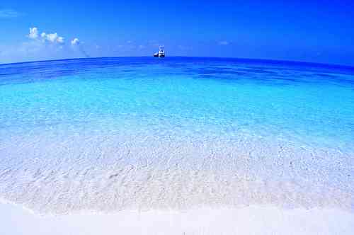 お気に入りのブルーを見せて！