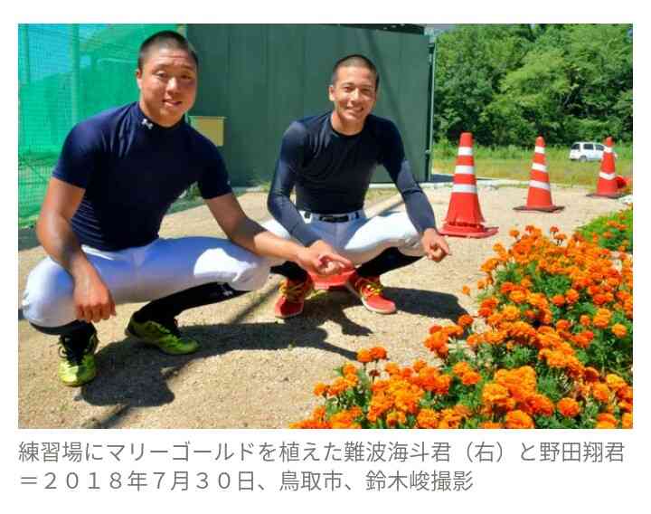 【実況・感想】第100回全国高校野球選手権大会 7日目