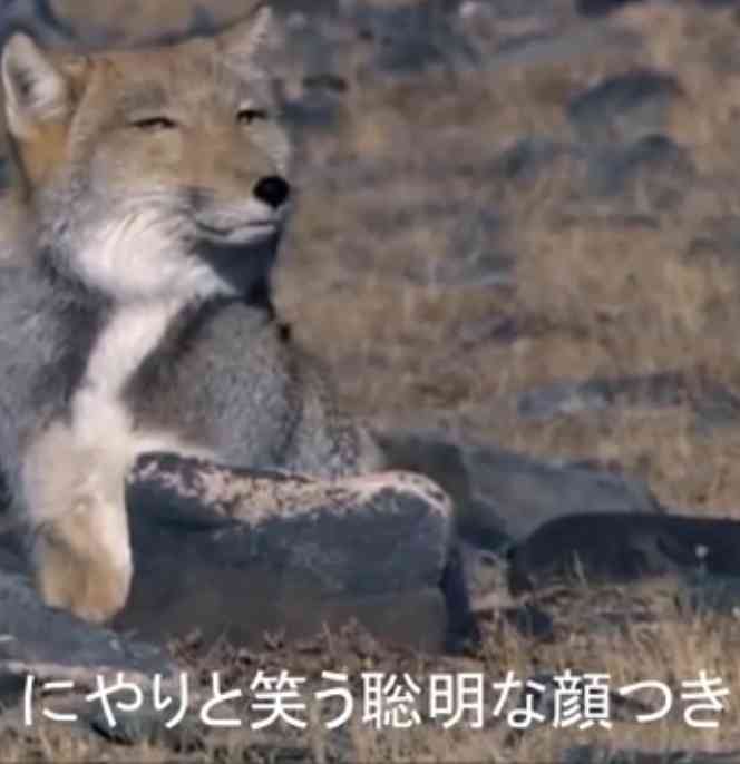 目にコンプレックスある人！！
