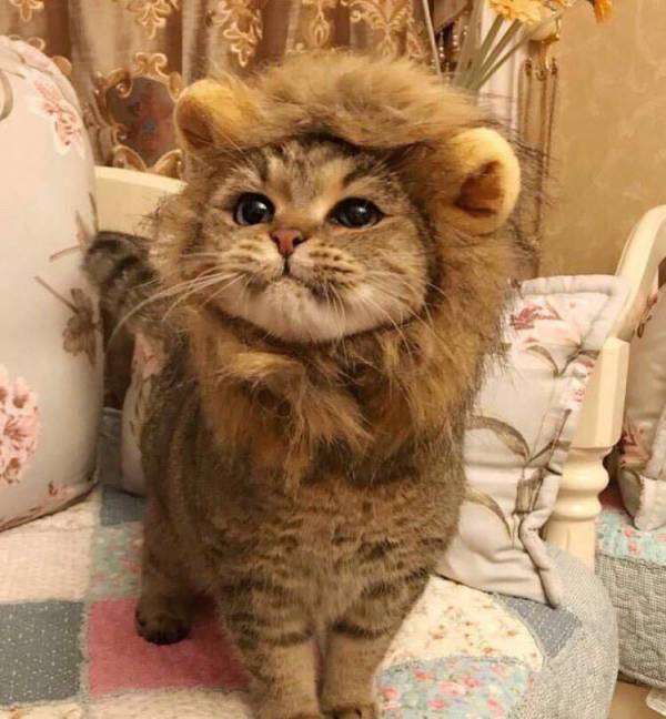 誕生日はなんの日ですか?