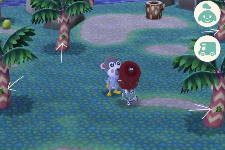 【ポケ森】どうぶつの森 ポケットキャンプ 【Part 9】