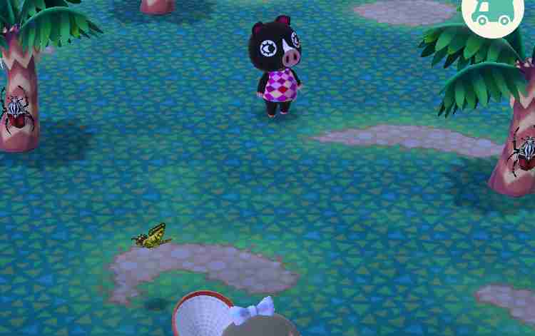 【ポケ森】どうぶつの森 ポケットキャンプ 【Part 9】