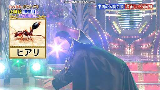 神奈月が好きな人!