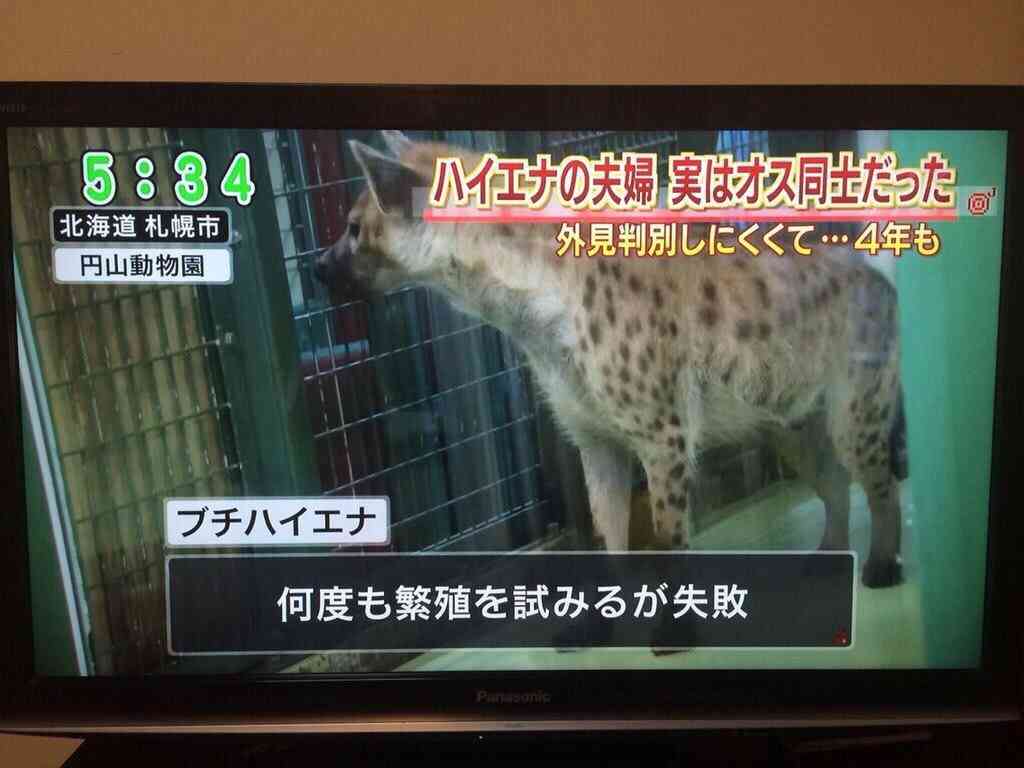 いろいろとツッコミたい画像