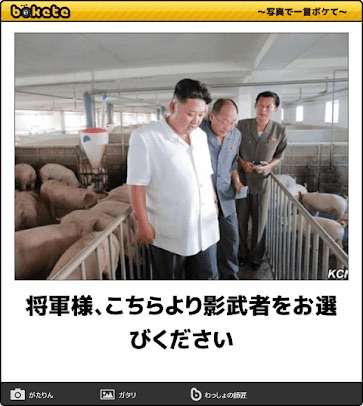 いろいろとツッコミたい画像