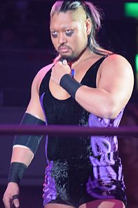 現在の新日本プロレスを語れる方いますか?