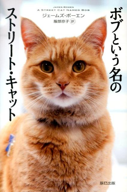 【猫トピ】茶トラが好きな方 part2