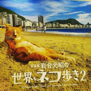 【猫トピ】茶トラが好きな方 part2
