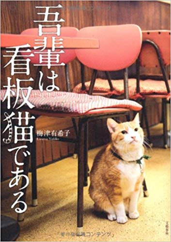 【猫トピ】茶トラが好きな方 part2